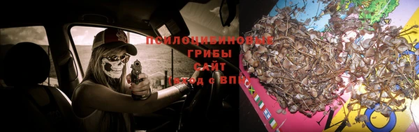 соль курить ск Бородино