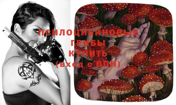 соль курить ск Бородино