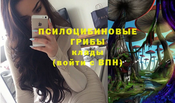 соль ск Верея