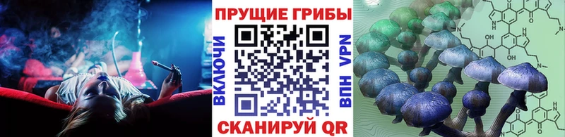 Галлюциногенные грибы ЛСД  OMG рабочий сайт  Архангельск 