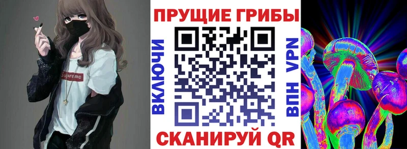Псилоцибиновые грибы мухоморы Архангельск